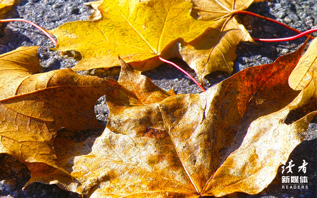 最顶级的养生秘诀，藏在这3件小事中