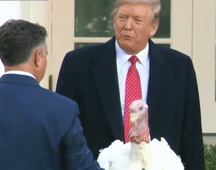 ��Ȫ����Ըж��ڣ�����ý�忪ʼ������ʷ�����ˣ�