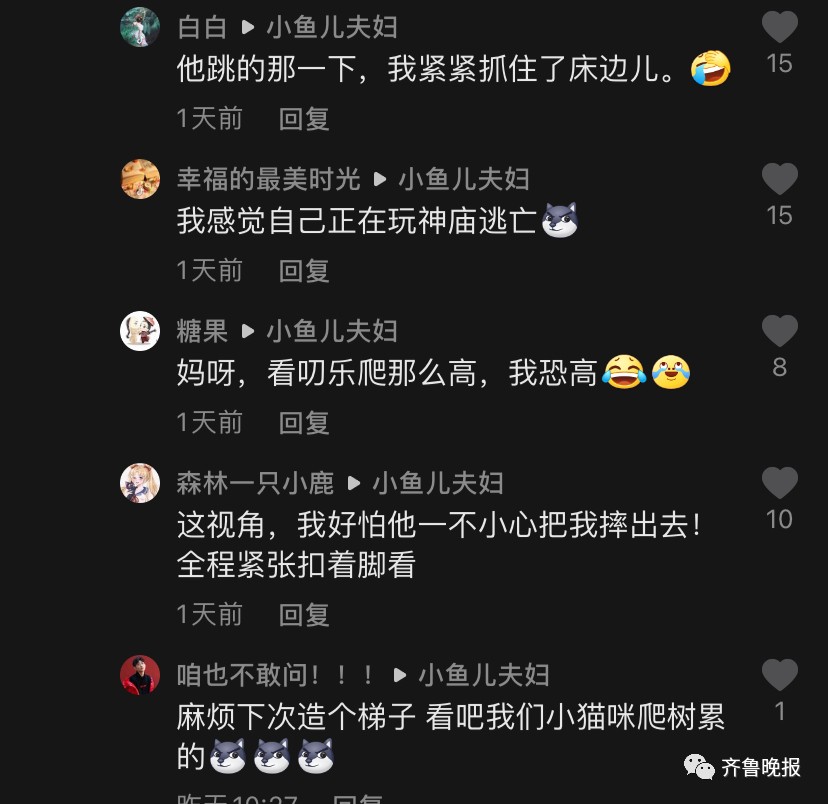 代入感超强！猫咪视角下的山东农村有多绝？千万网友跟着小猫上树又爬墙...