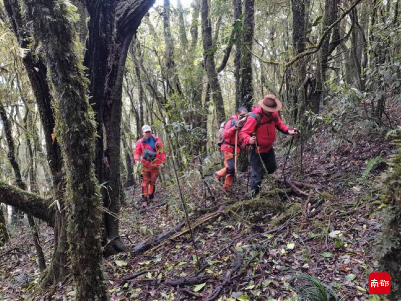 生死哀牢山：4名地质调查队员在原始森林无人区的最后轨迹