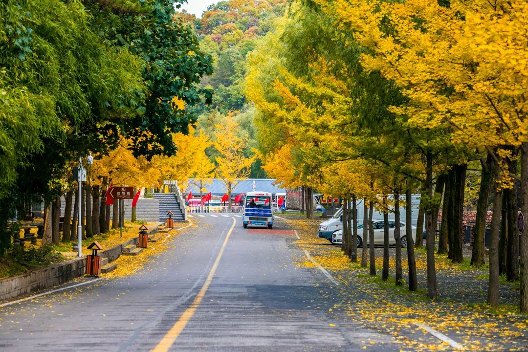 高清大图！饱览人间仙境白云山四时美景