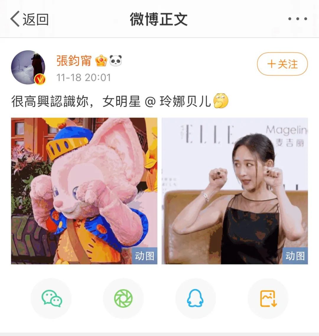 这只粉红色的狐狸为什么生气了。