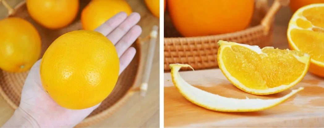 赣南脐橙图片8