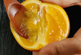 赣南脐橙图片10