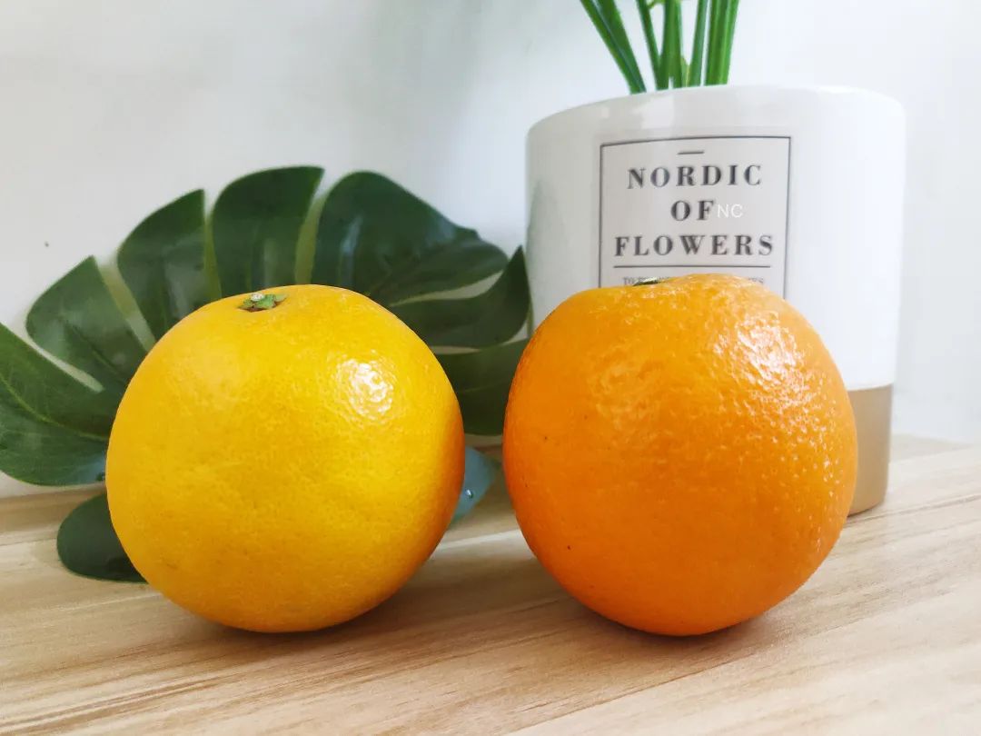 赣南脐橙网图片8