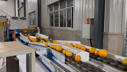 「北广购物」身价600个亿的赣南脐橙来了！17.5°黄金酸甜比