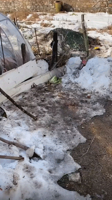 两个月涨粉千万，张同学 都用到了啥技巧？