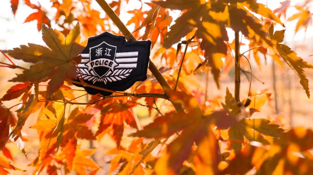 美哭了！临安这些校园深秋美景上线，谁是你眼中最美？