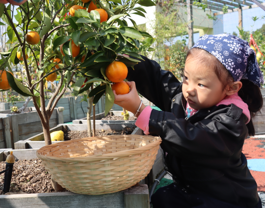 美哭了！临安这些校园深秋美景上线，谁是你眼中最美？