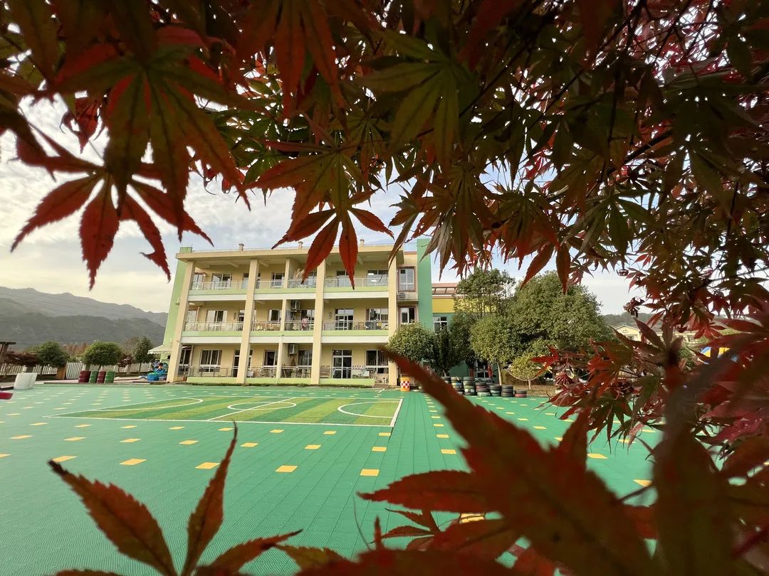 美哭了！临安这些校园深秋美景上线，谁是你眼中最美？