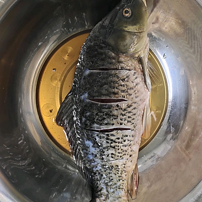 家常燉魚,家常燉魚的做法