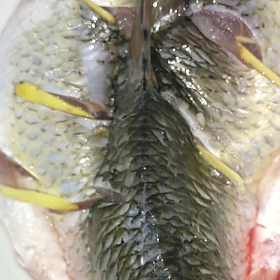 麻辣魚,麻辣魚的家常做法簡(jiǎn)單