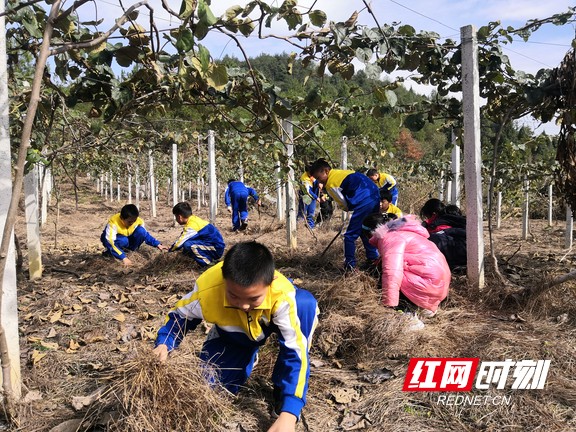 永顺芙蓉镇保坪小学落实“五项管理”见成效(图2)