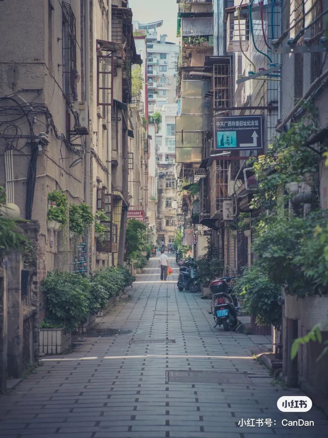 厉害了！“中国康养旅游城市百强榜单”出炉，广西7地上榜