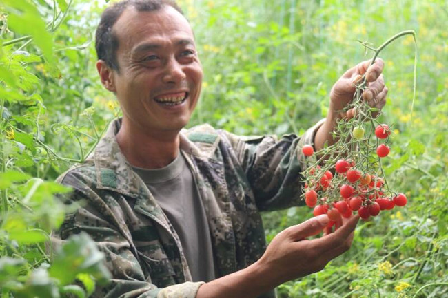返鄉(xiāng)創(chuàng)業(yè)種大棚，帶領(lǐng)鄉(xiāng)親一起致富