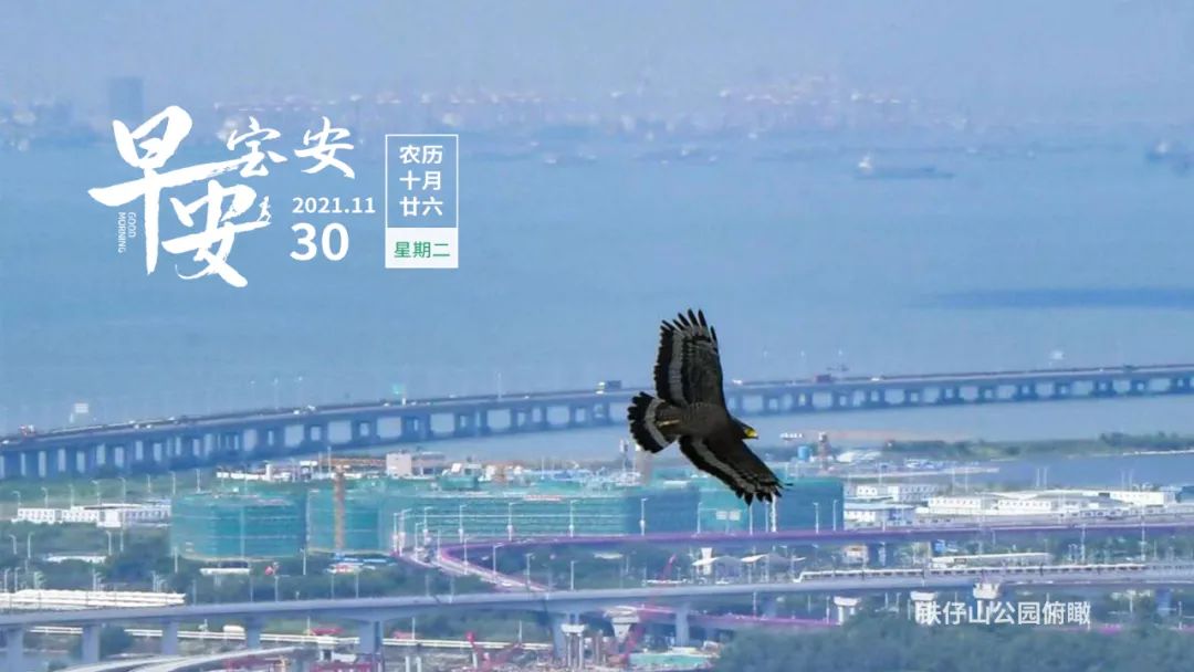 9672套！深圳“网红”保障房今起认租！12月起，这些新规将影响你我生活| 早安，宝安