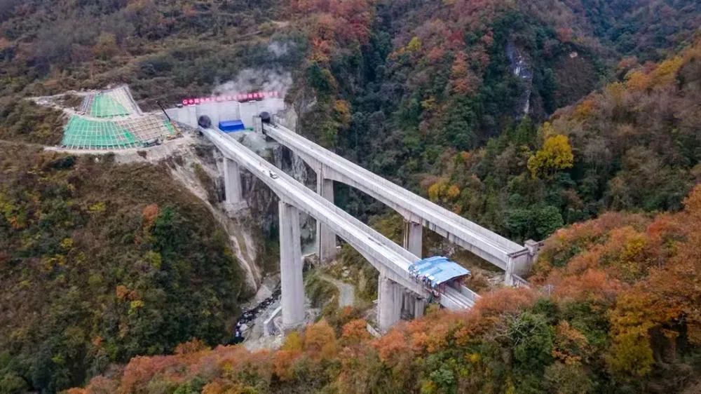 9672套！深圳“网红”保障房今起认租！12月起，这些新规将影响你我生活| 早安，宝安