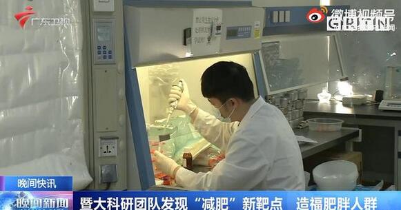 美梦成真？燃烧脂肪靶点被发现 躺平即可消耗卡路里