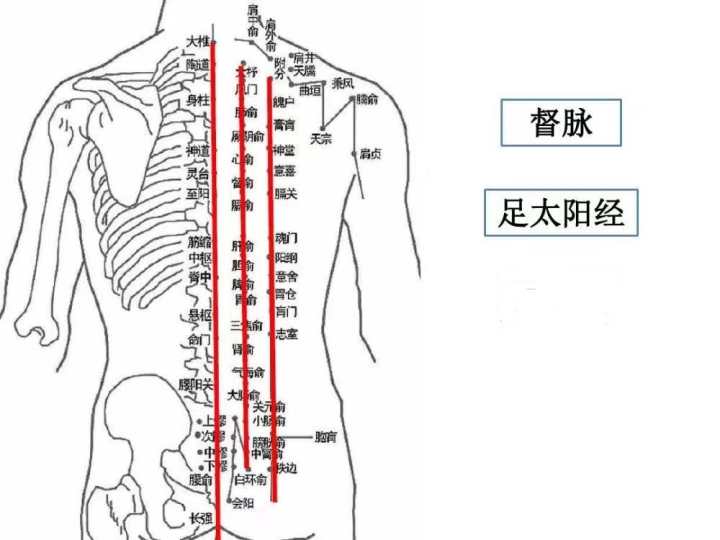 “撞南墙”不回头，还要天天撞！杭城美女医生教你另类养生