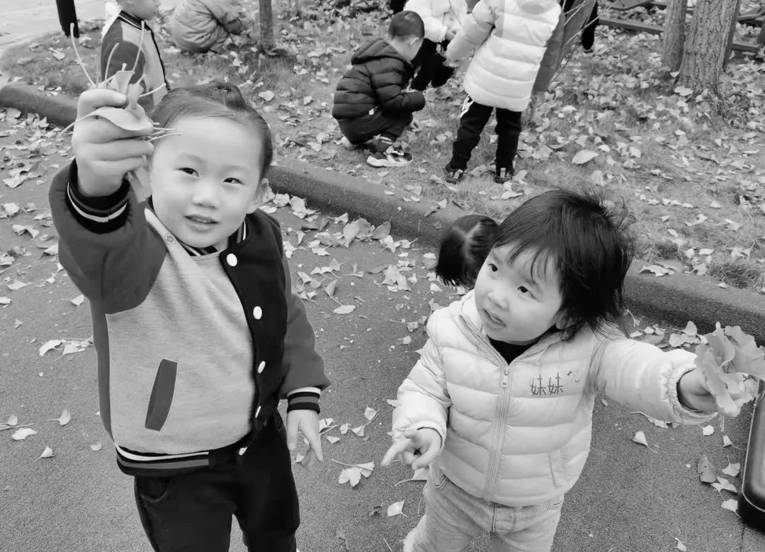 美呆了！校园秋日美景，第二弹~