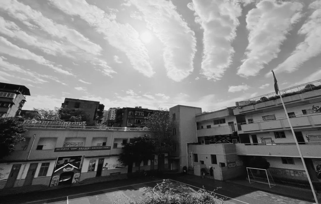 美呆了！校园秋日美景，第二弹~