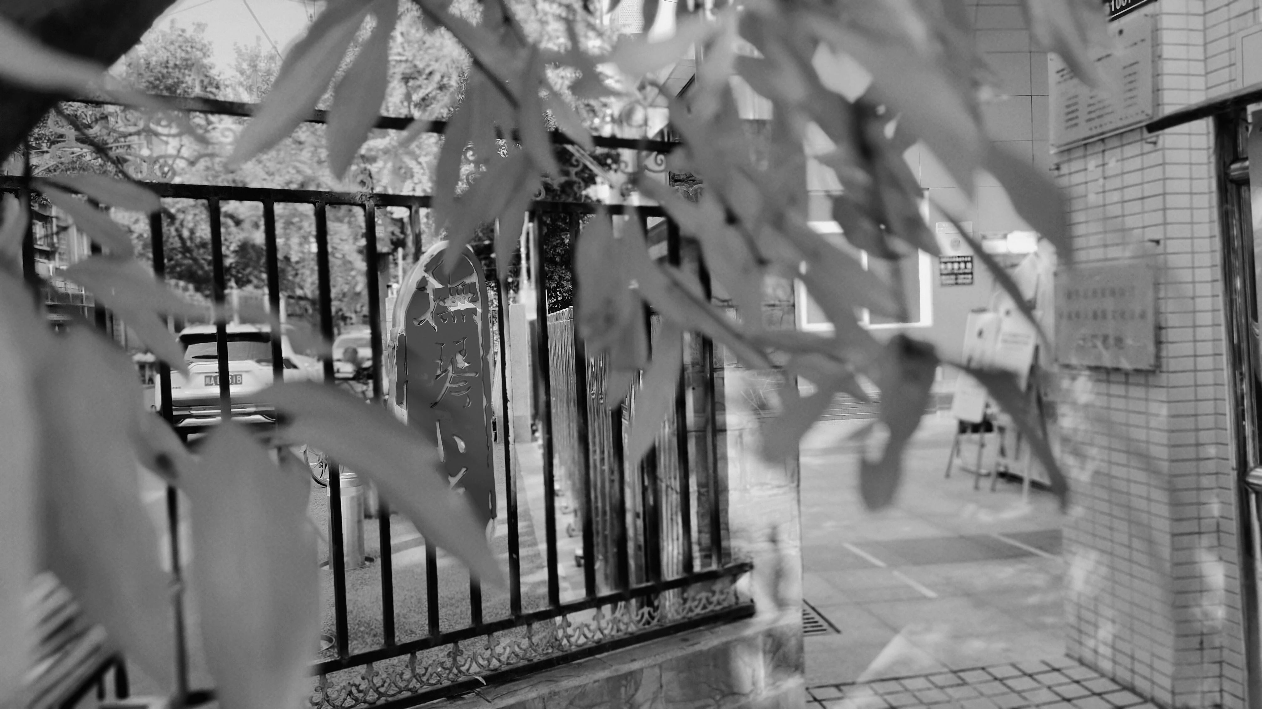 美呆了！校园秋日美景，第二弹~