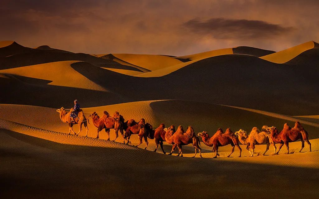 视点丨风沙吹老了岁月,却吹不老驼夫号子的古朴与豪放