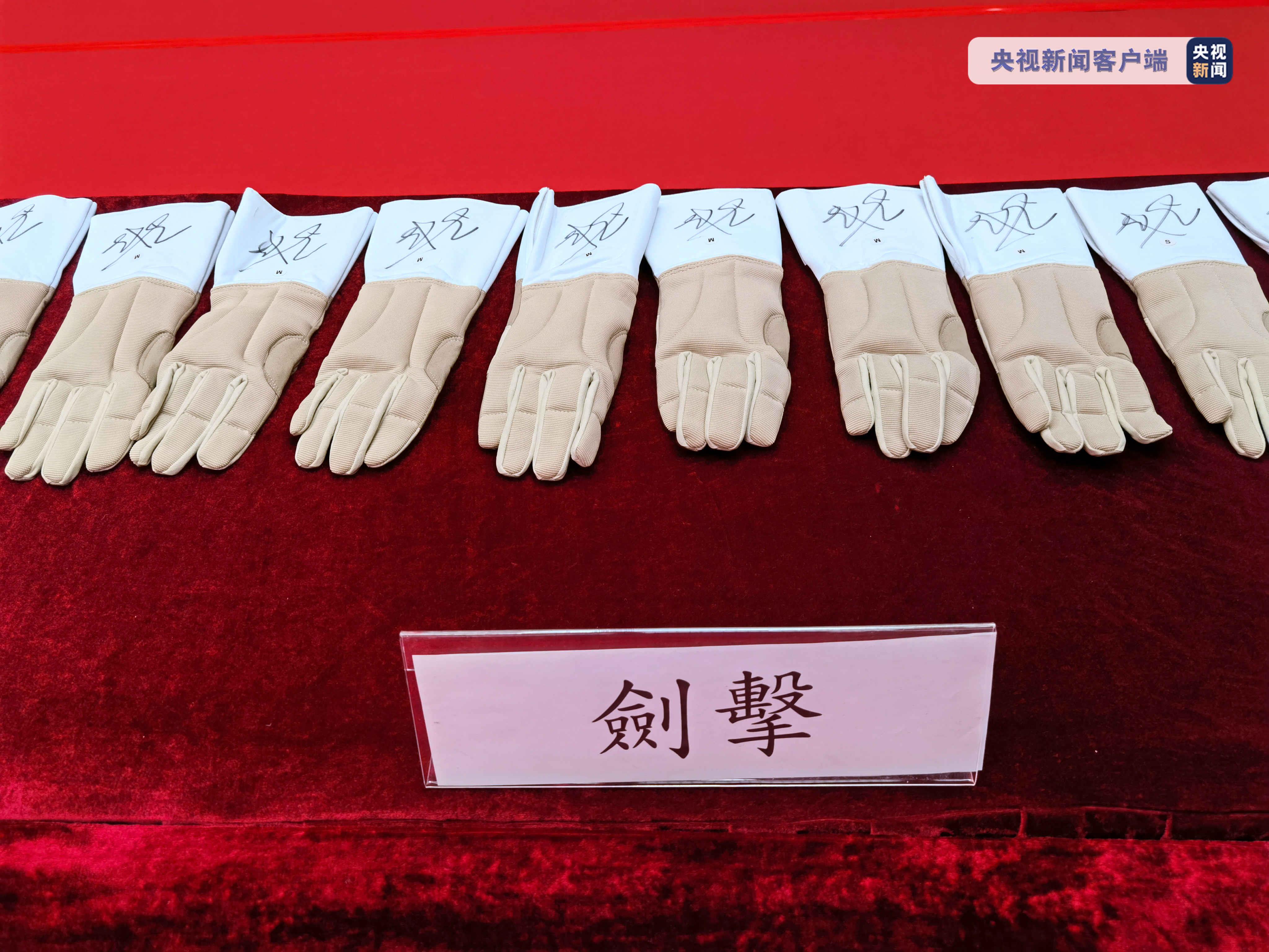 北京奥运会香港代表团入场