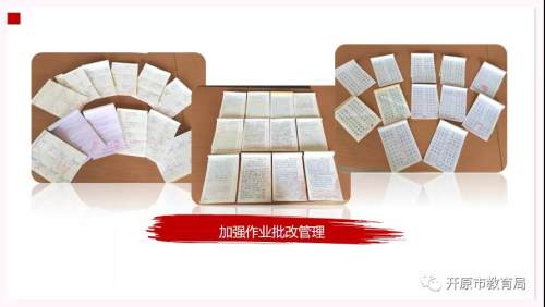 开原市新华路小学实施“三维作业”助力“双减”(图3)