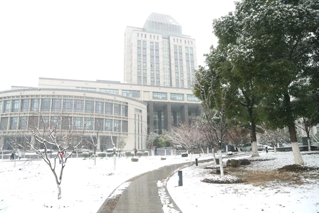 今日大雪｜唯诗意与美食不可辜负