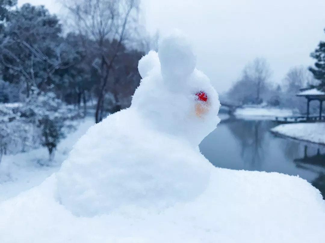 今日大雪｜唯诗意与美食不可辜负