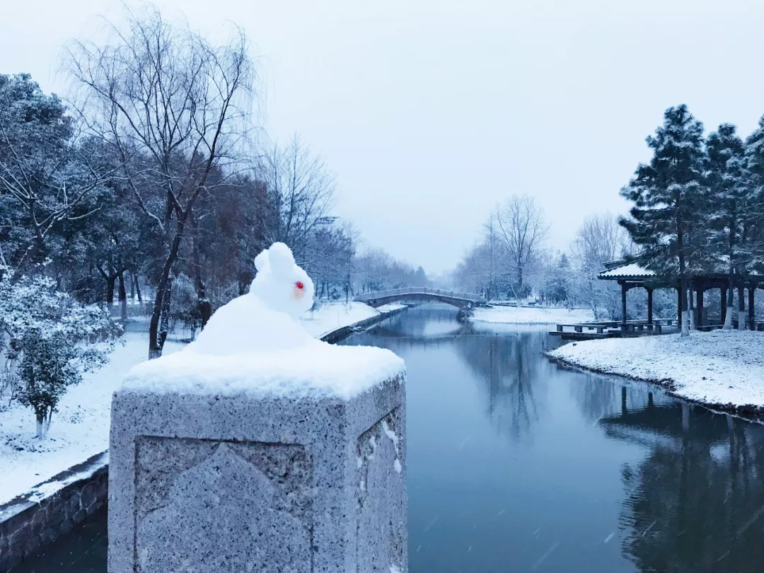 今日大雪｜唯诗意与美食不可辜负