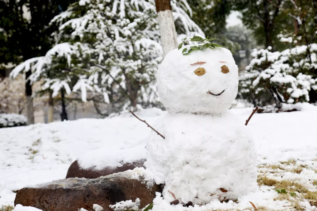 今日大雪｜唯诗意与美食不可辜负