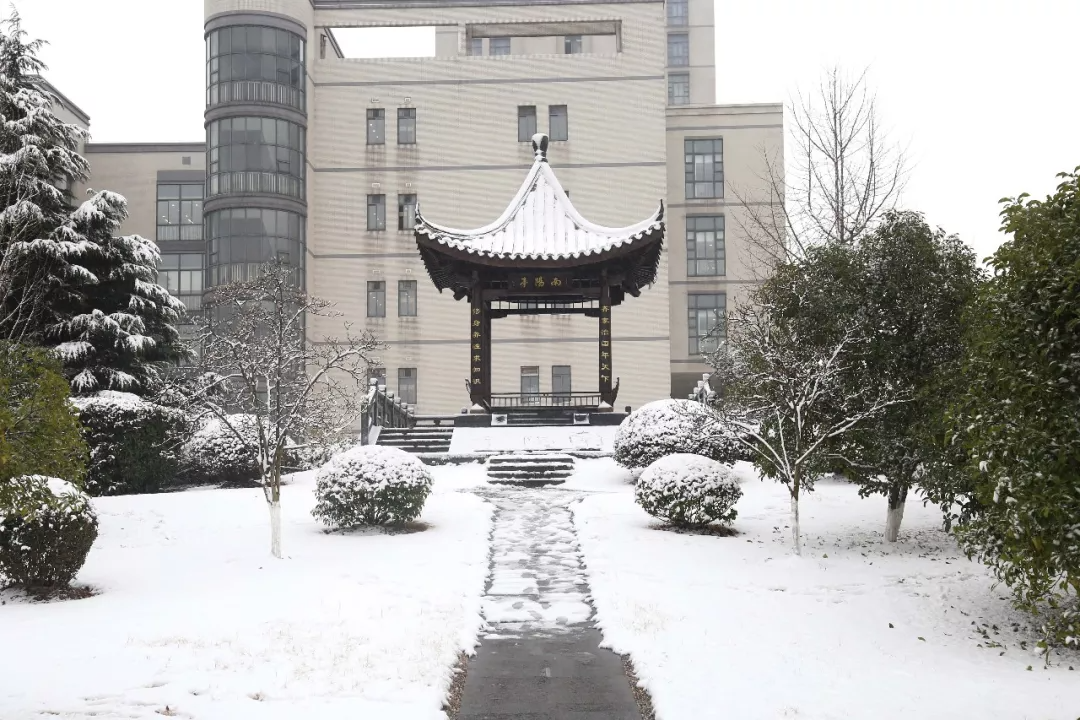 今日大雪｜唯诗意与美食不可辜负