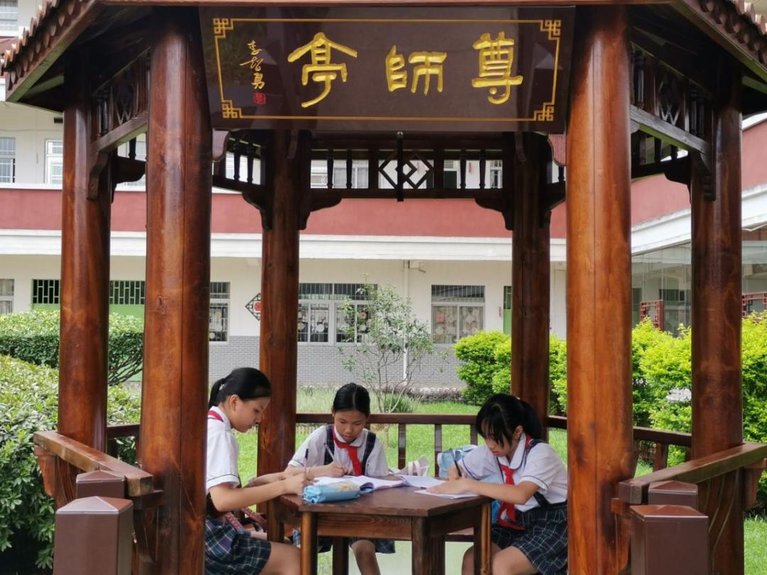 广州市增城区挂绿小学被确定为全国典型(图19)