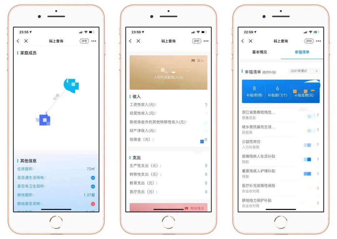 48小时内到账！低收入农户小额贴息贷款可在线办