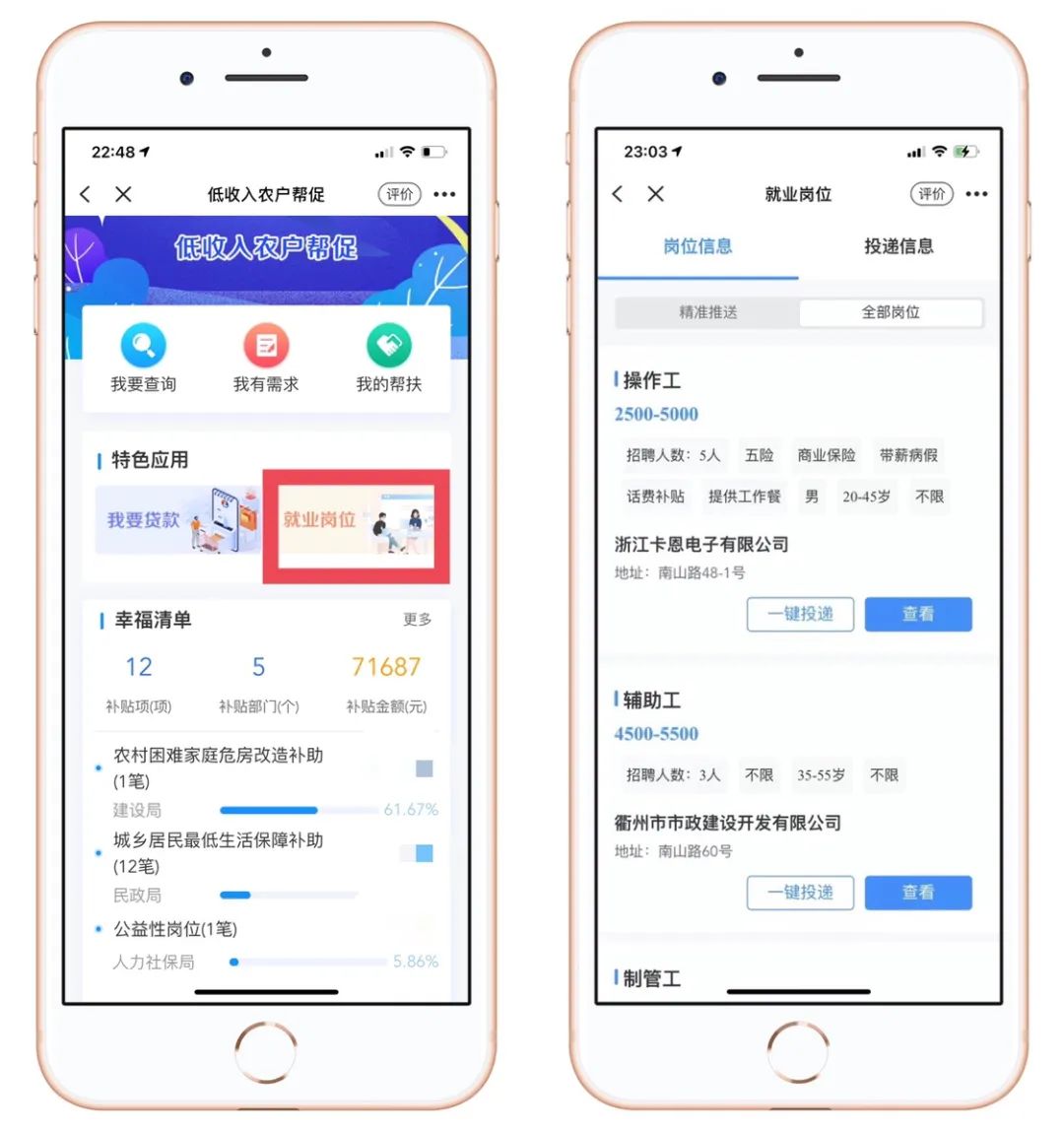 48小时内到账！低收入农户小额贴息贷款可在线办