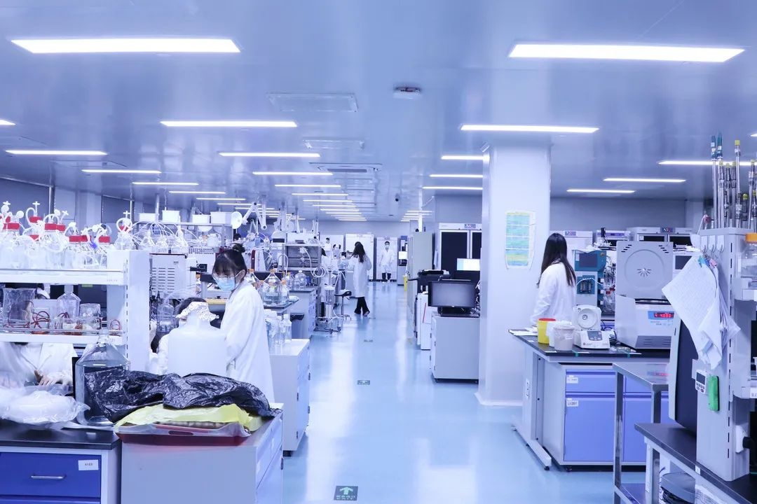 总投资5亿元项目开工 黄埭生物医药产业发展再提速