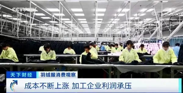 羽绒服轮番涨价！中高端产品还卖得更火了？！断货断码，咋回事？