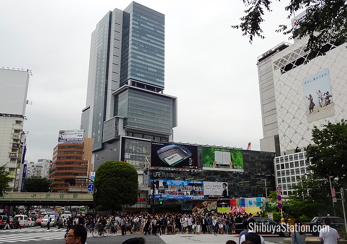 影像中的莘庄变迁：从上海县县治到未来城市副中心