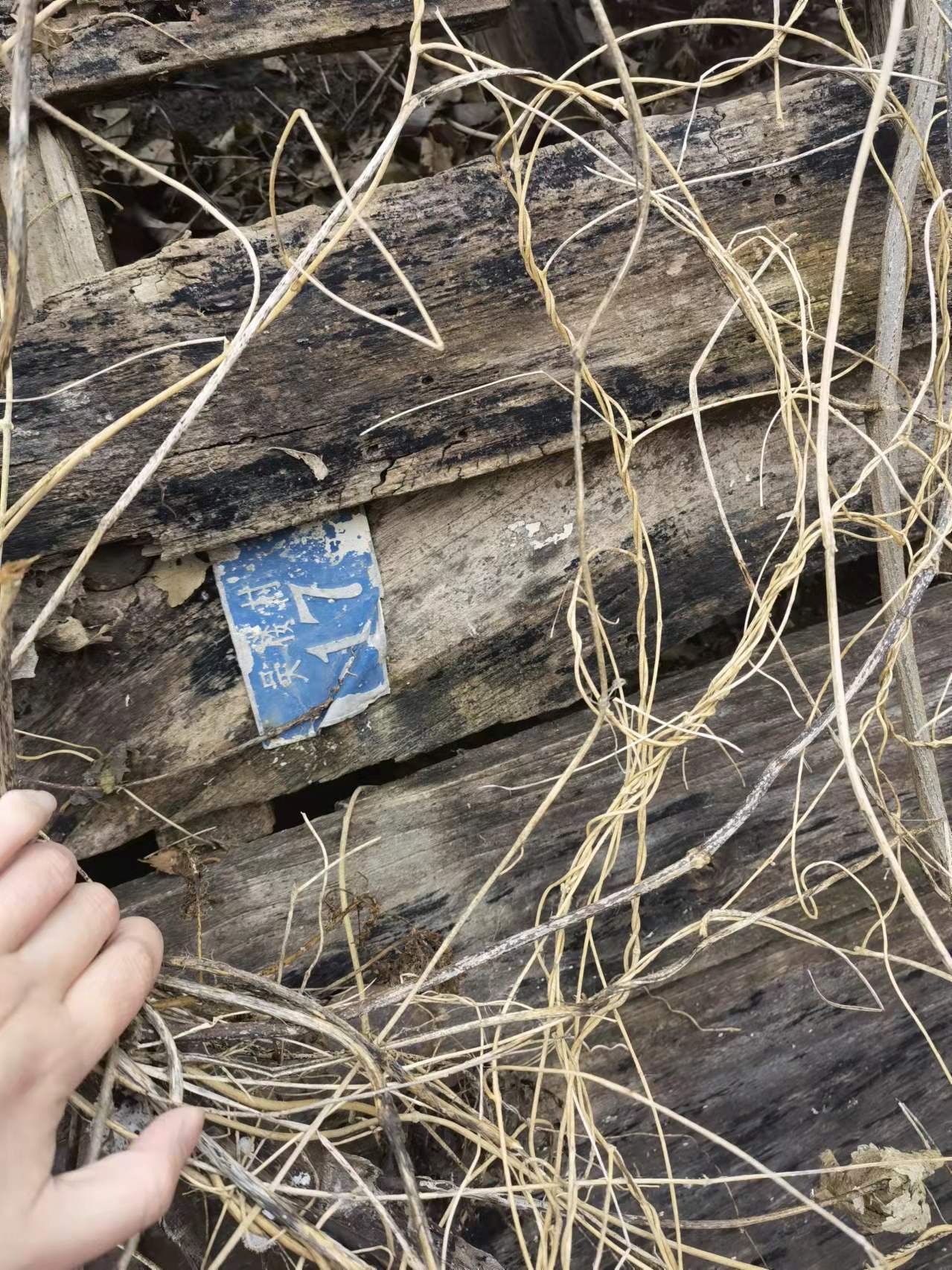 山东两名“被拐少年”落户之谜