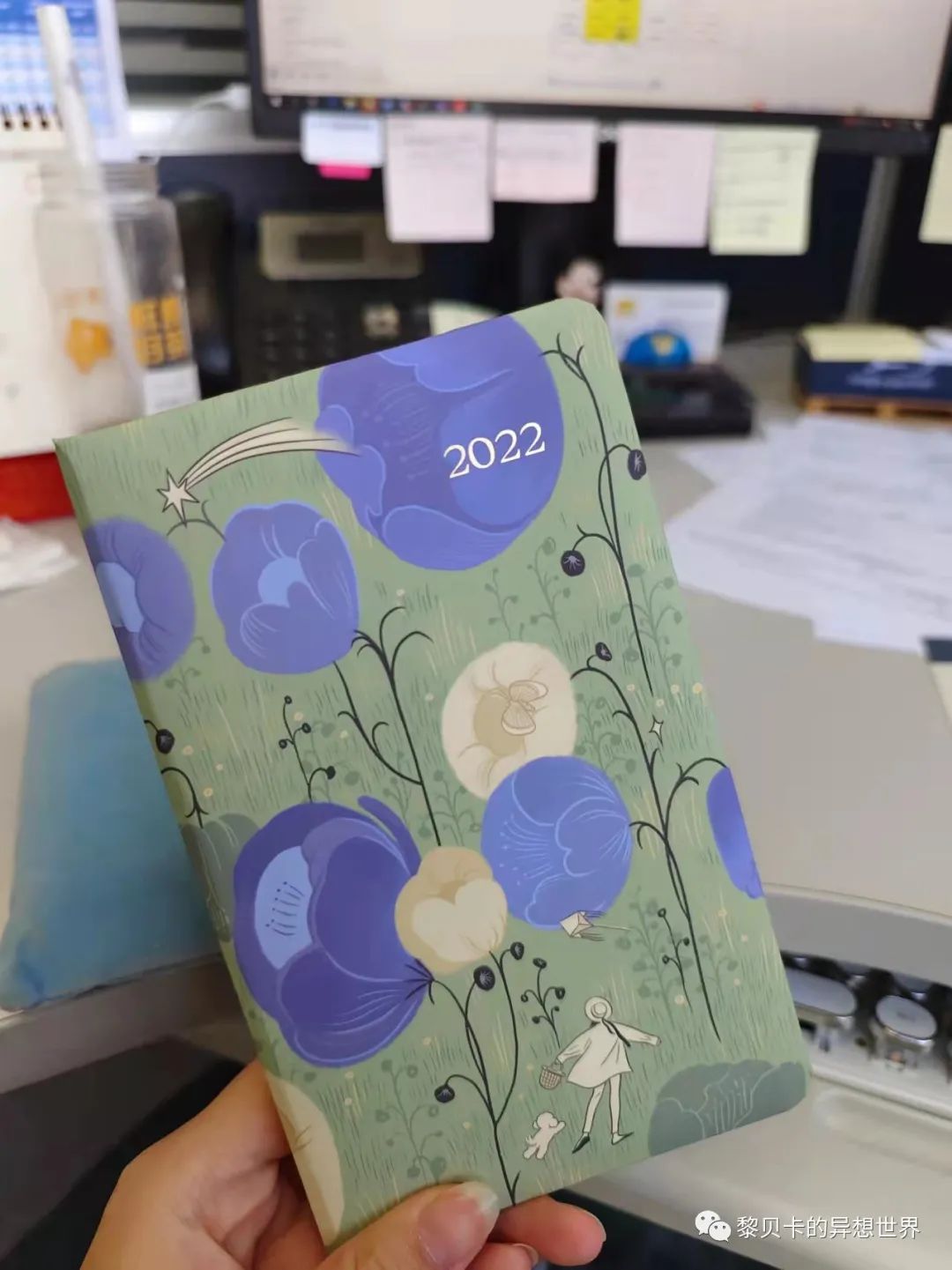 贝壳分享｜| 她们太厉害了，每次分享我都有被种草