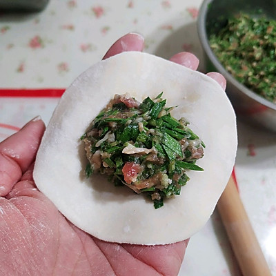 韭菜肉餃子餡的做法,韭菜肉餃子餡的做法及配料