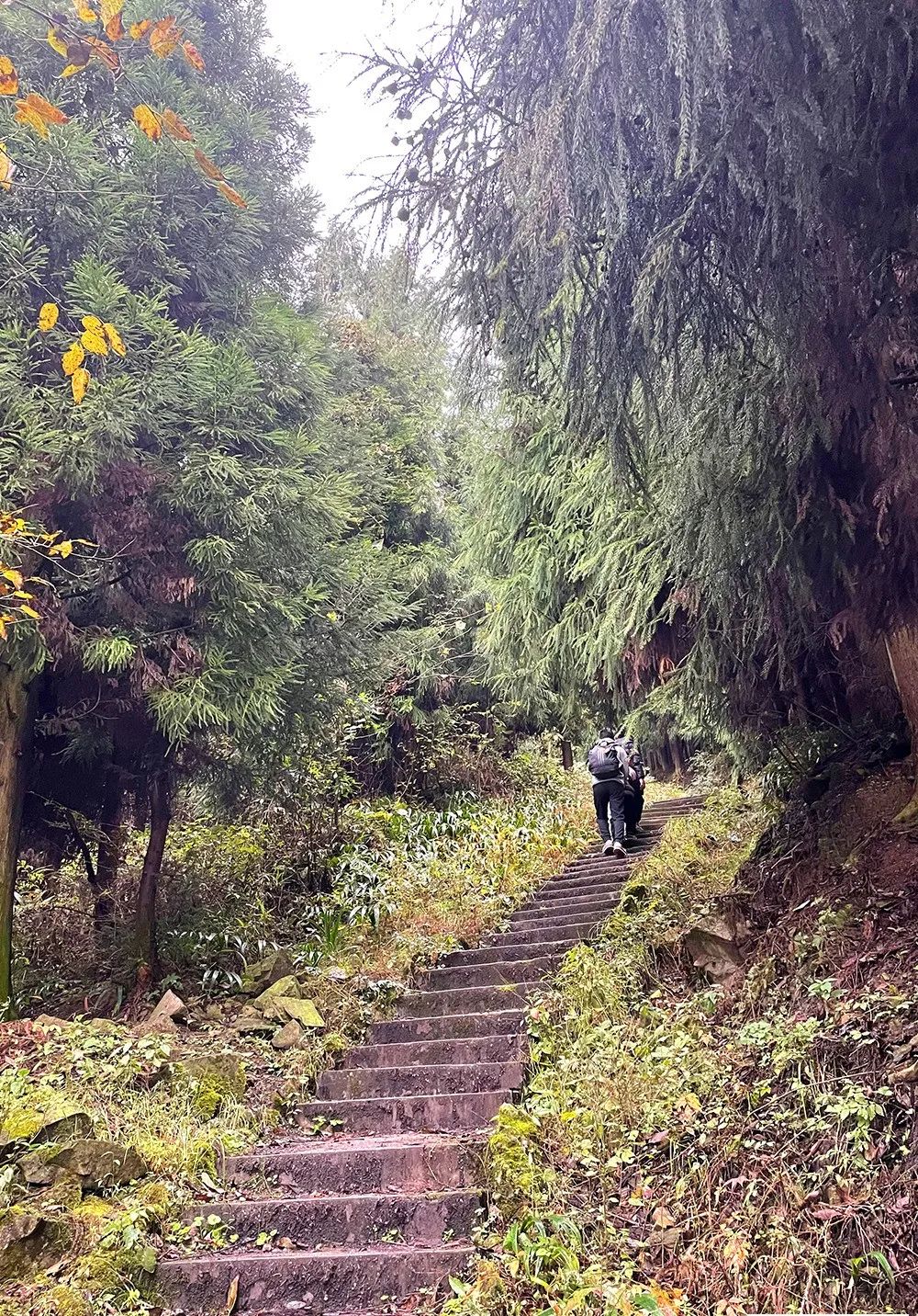 绵德双城记 || 登高望远畅舒怀，景色宜人清风徐来，爬山好去处，一起运动吧~