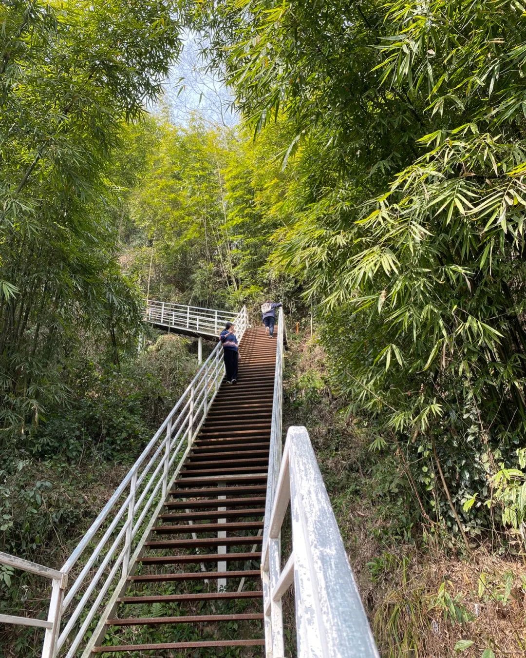 绵德双城记 || 登高望远畅舒怀，景色宜人清风徐来，爬山好去处，一起运动吧~