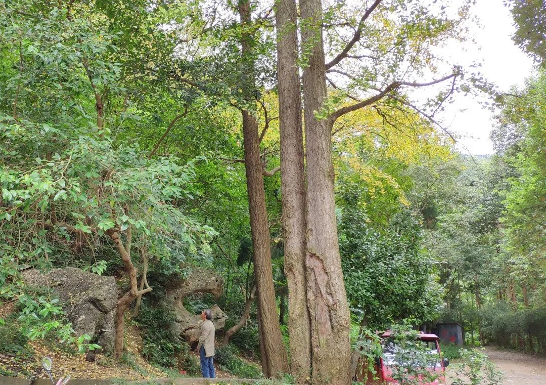 绵德双城记 || 登高望远畅舒怀，景色宜人清风徐来，爬山好去处，一起运动吧~