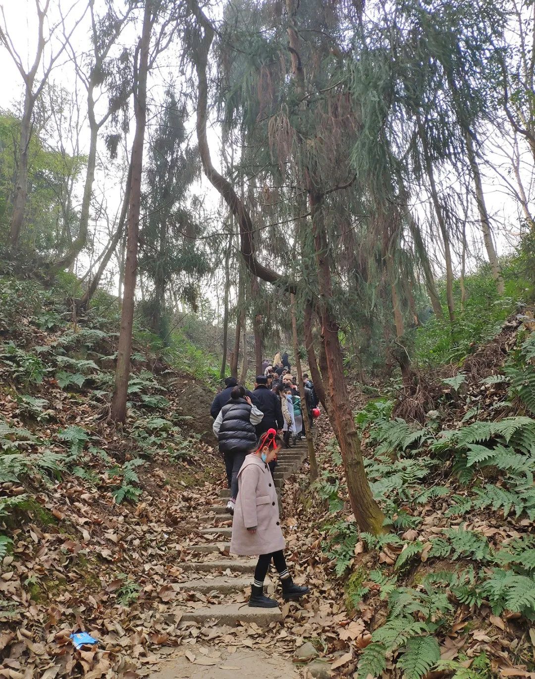 绵德双城记 || 登高望远畅舒怀，景色宜人清风徐来，爬山好去处，一起运动吧~