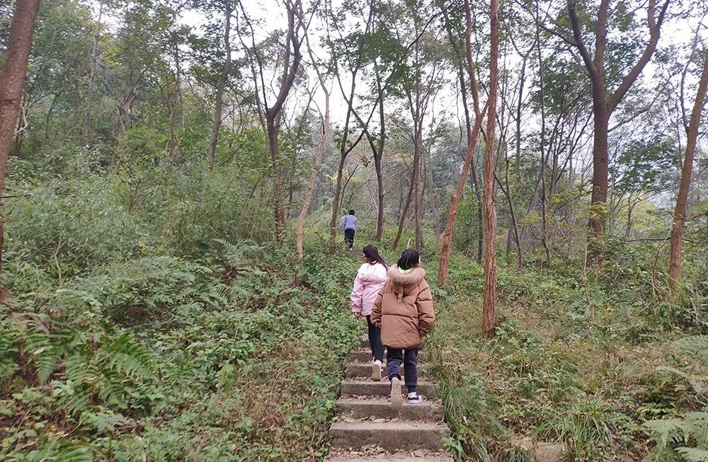 绵德双城记 || 登高望远畅舒怀，景色宜人清风徐来，爬山好去处，一起运动吧~