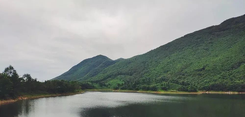 绵德双城记 || 登高望远畅舒怀，景色宜人清风徐来，爬山好去处，一起运动吧~