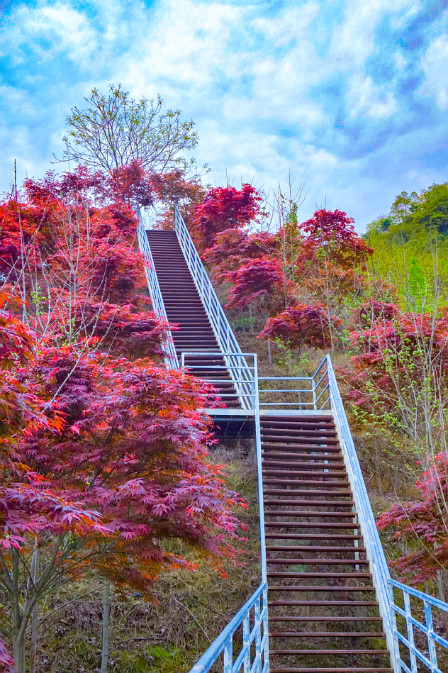 绵德双城记 || 登高望远畅舒怀，景色宜人清风徐来，爬山好去处，一起运动吧~